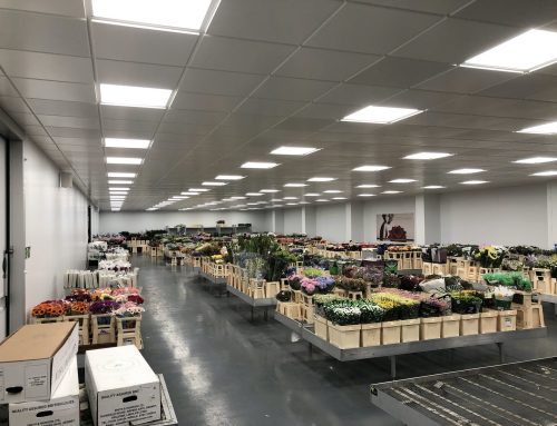 New Flower Facility