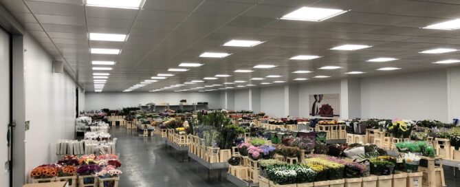 Flowervision Cold Store